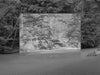 Untitled (P 1707)
