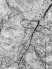 Ohne Titel (P 0296-2)