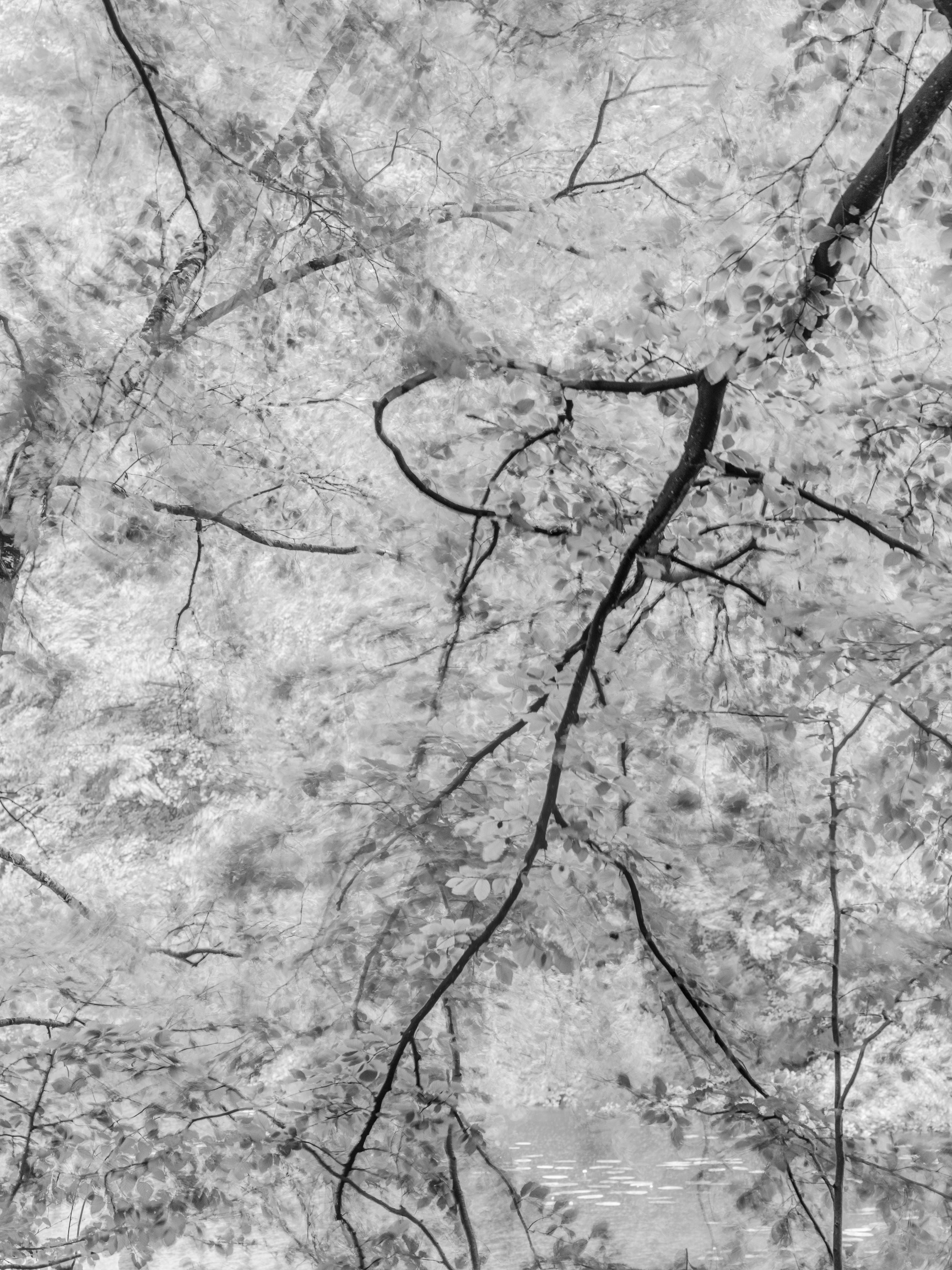 Ohne Titel (P 0296-2)