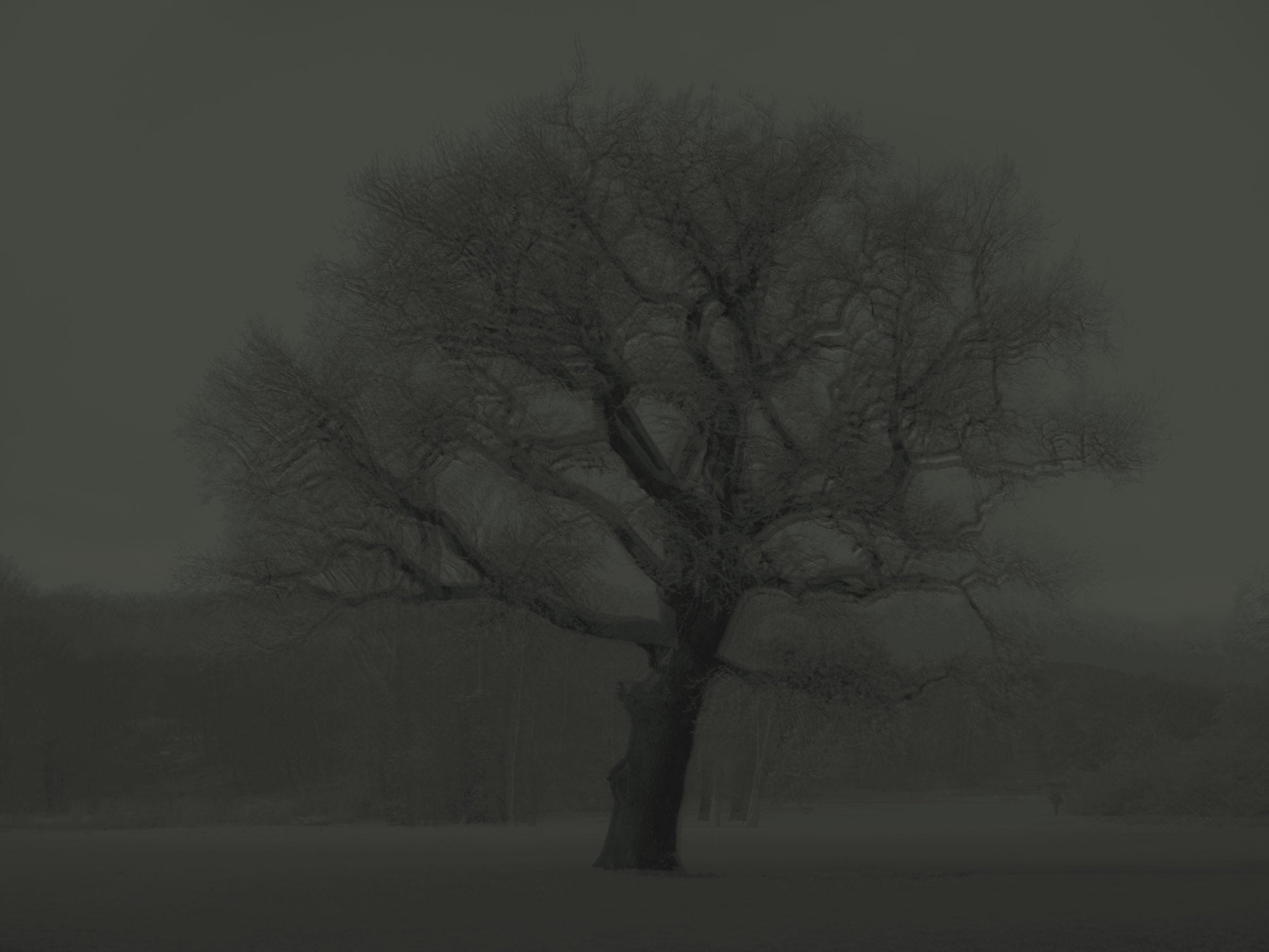 Ohne Titel