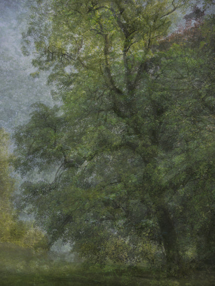 Ohne Titel