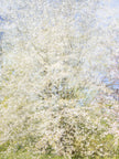Ohne Titel