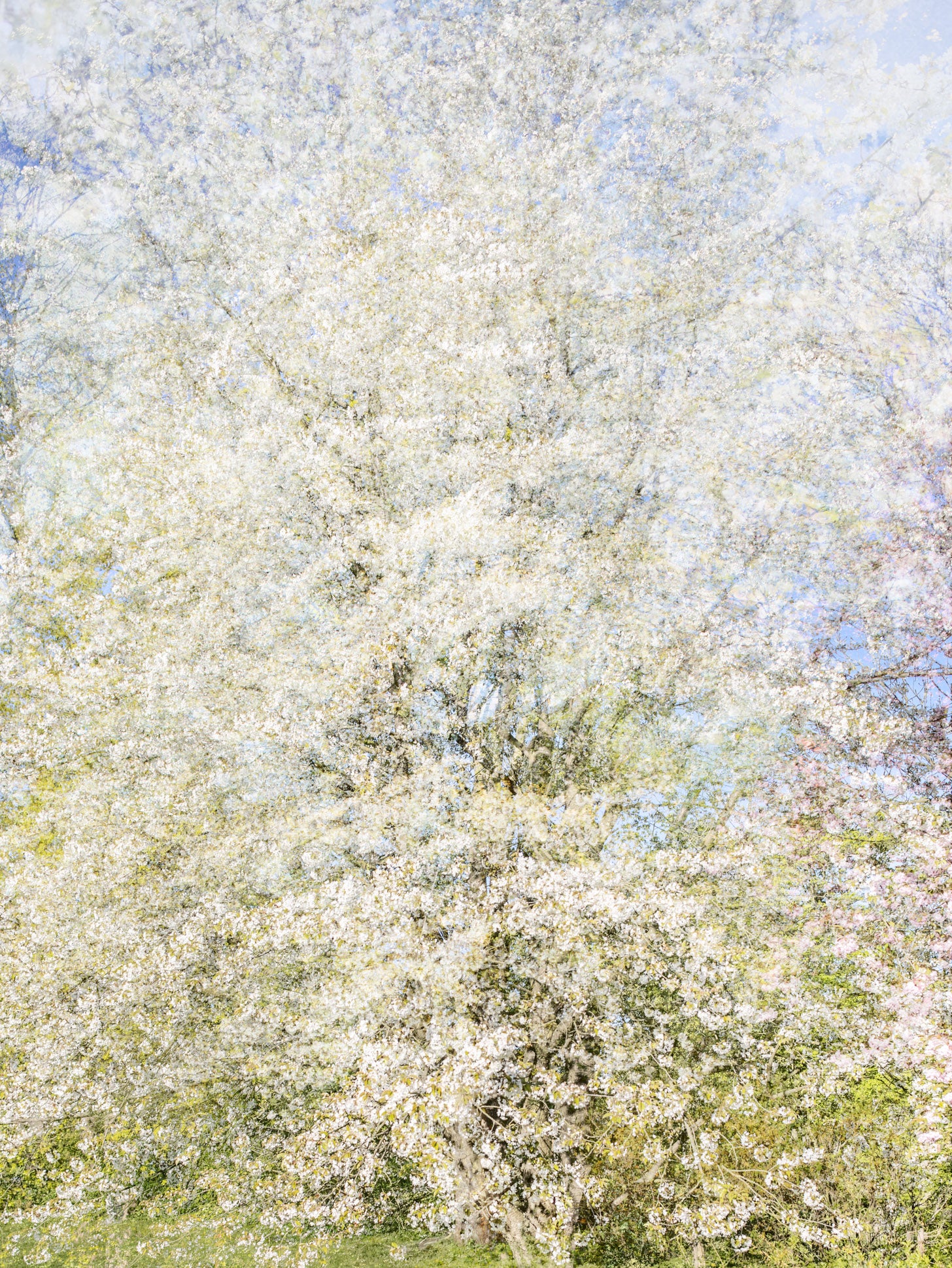 Ohne Titel