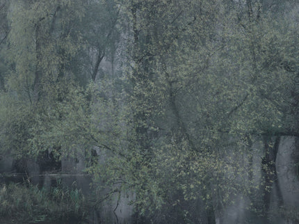 Ohne Titel (R 1924)