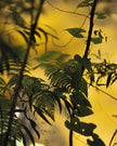 Ohne Titel (MG 3086)