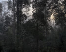 Untitled (MG 4573)