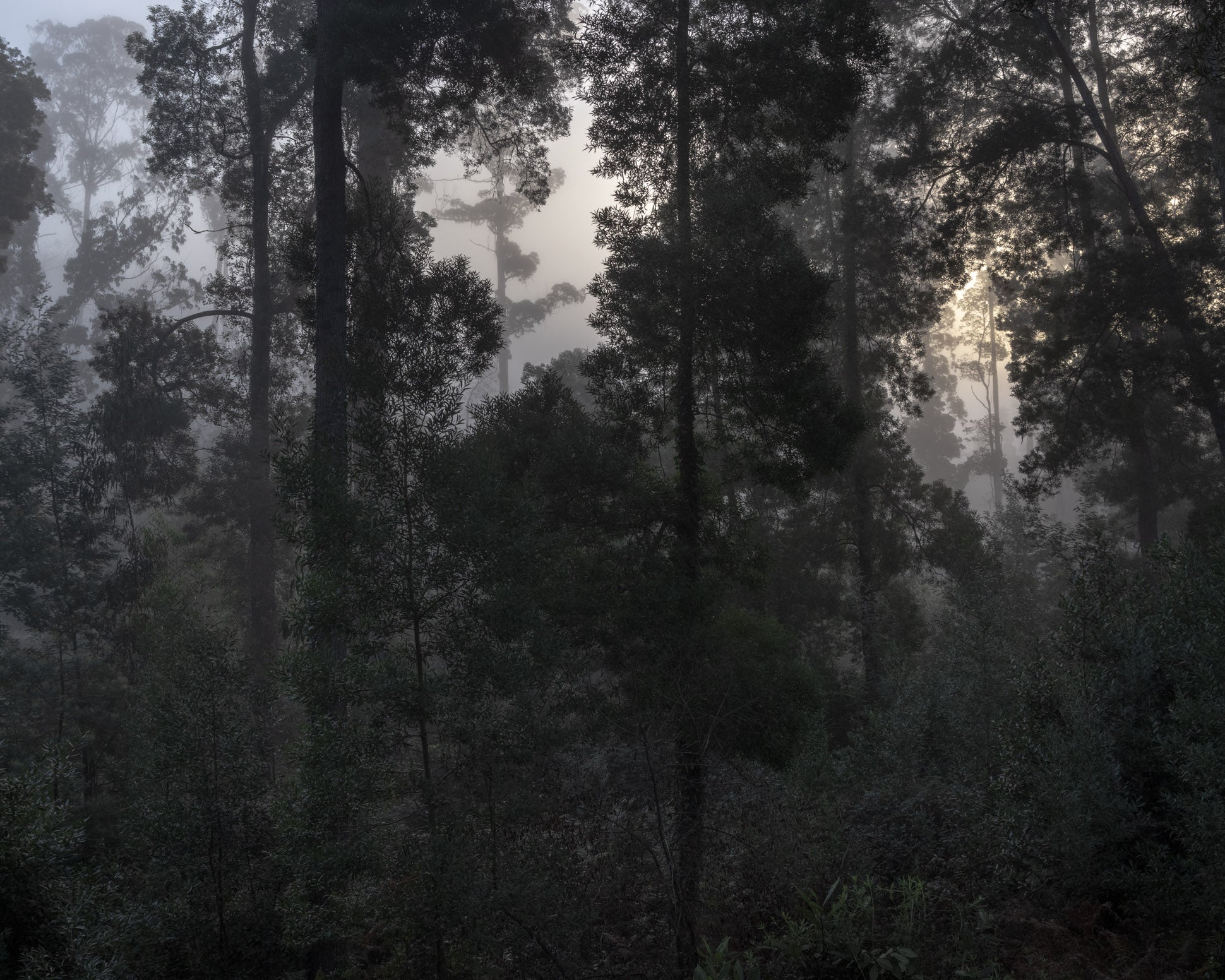 Untitled (MG 4573)