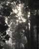 Untitled (MG 4718)