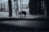Ohne Titel (LA_2_0099)
