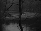 Ohne Titel (P 26687-5)