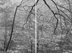 Ohne Titel (P 24623 D)