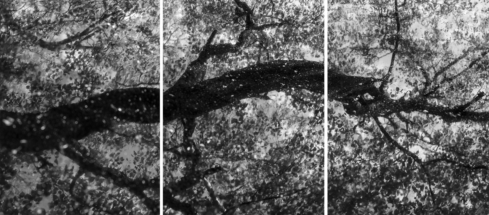 Ohne Titel (P 21330 T)