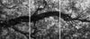 Ohne Titel (P 21330 T)