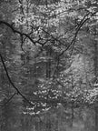 Ohne Titel (P 18423)