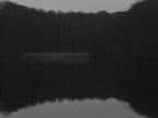 Ohne Titel (P 14468)