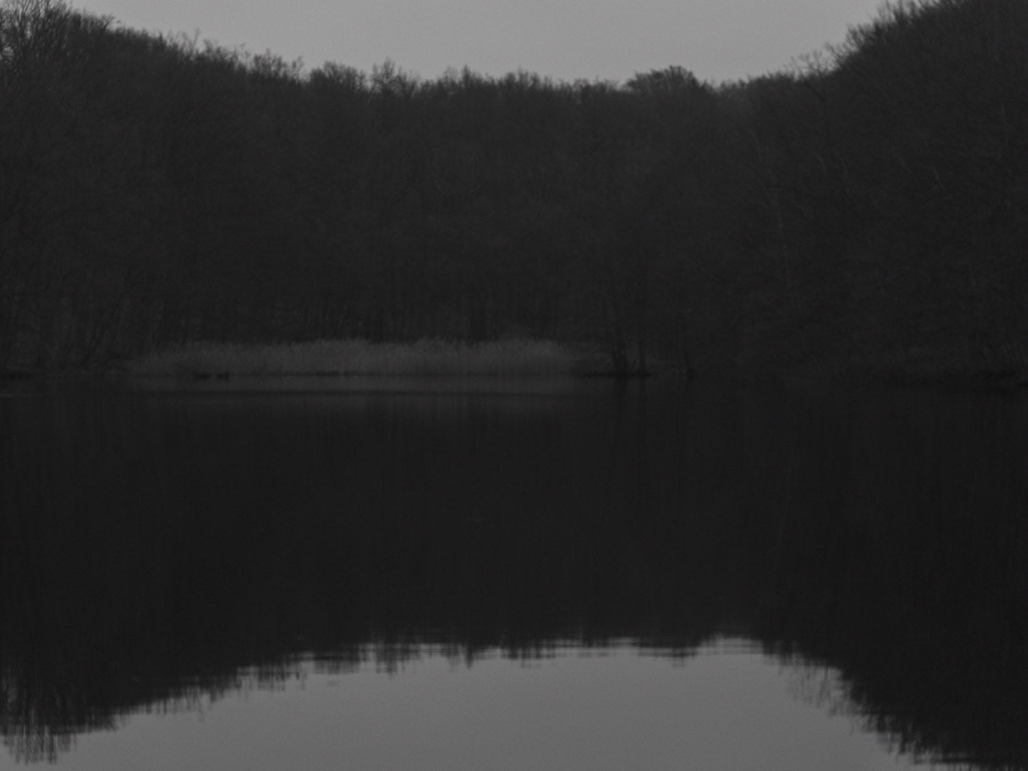 Ohne Titel (P 14468)