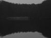 Ohne Titel (P 14468)