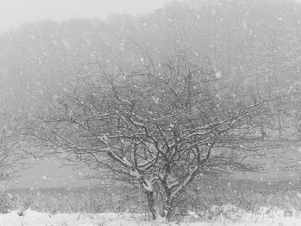 Ohne Titel (P 10758)