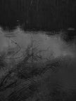 Ohne Titel (P 10445)