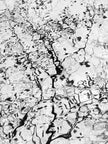 Ohne Titel (P 7429 v3)