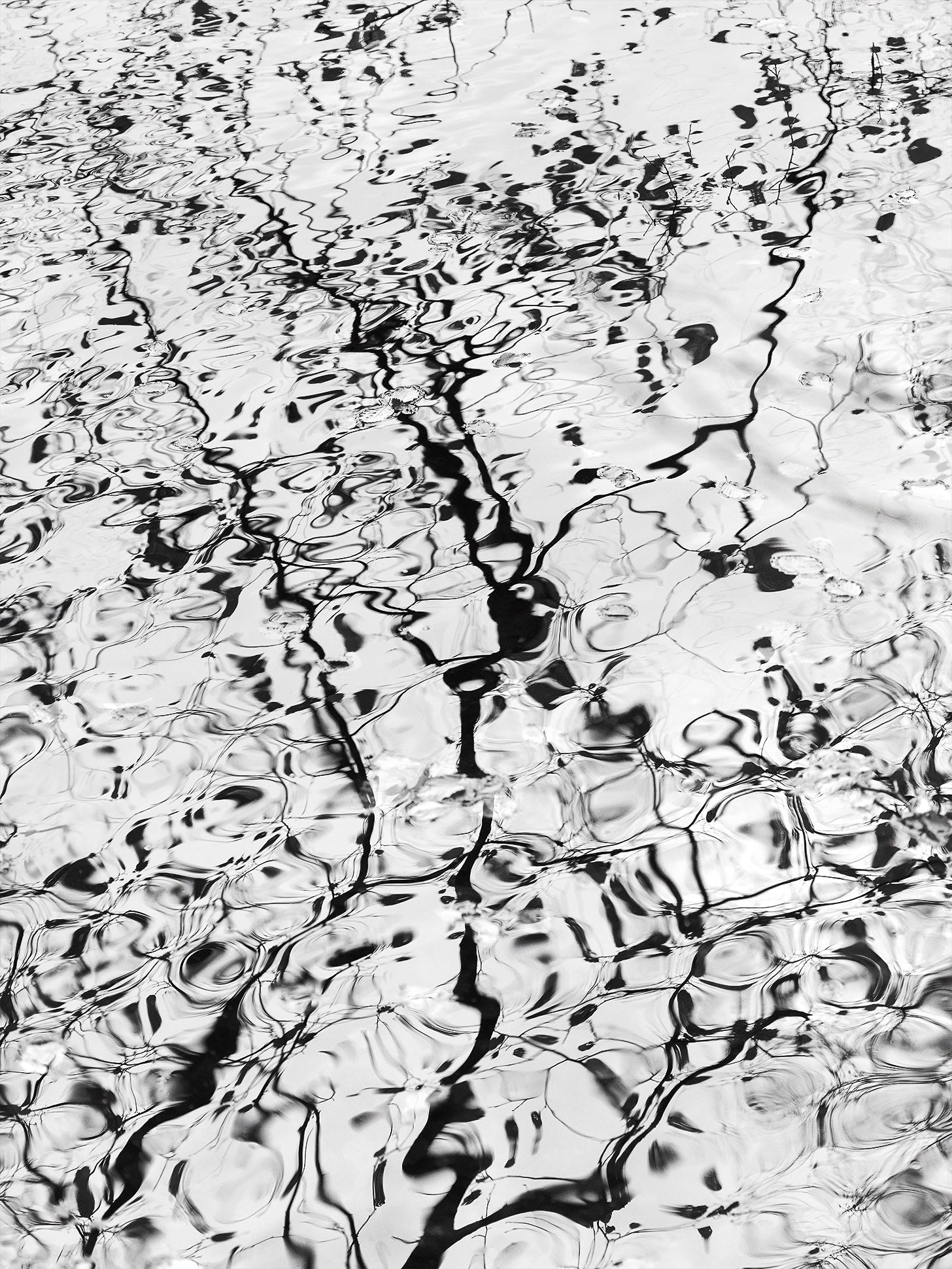 Ohne Titel (P 7429 v3)