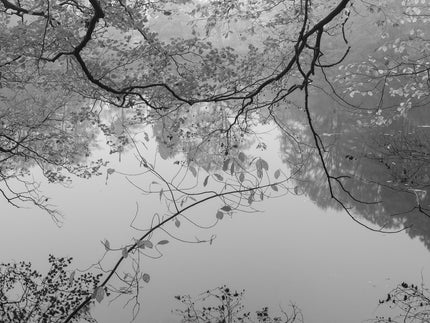 Ohne Titel (P 4321)