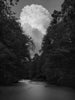 Ohne Titel (P 1035)