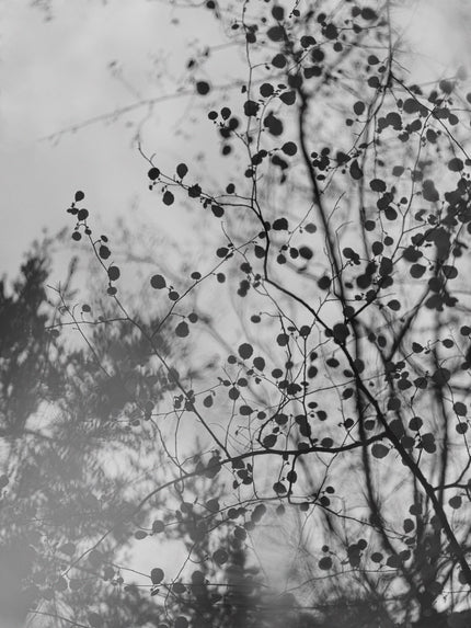 Ohne Titel (P 18090)