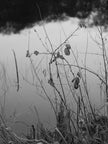 Ohne Titel (P 9826)