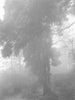 Ohne Titel (ML 1662)
