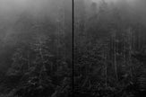 Ohne Titel (ML 7297D)