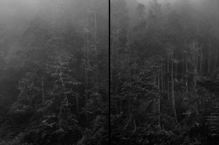 Ohne Titel (ML 7297D)