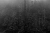 Ohne Titel (ML 7297D)
