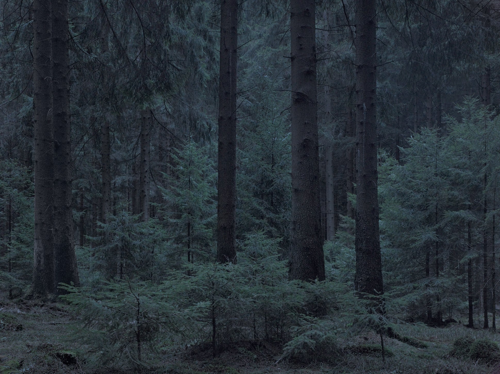Untitled (WALD_5674)