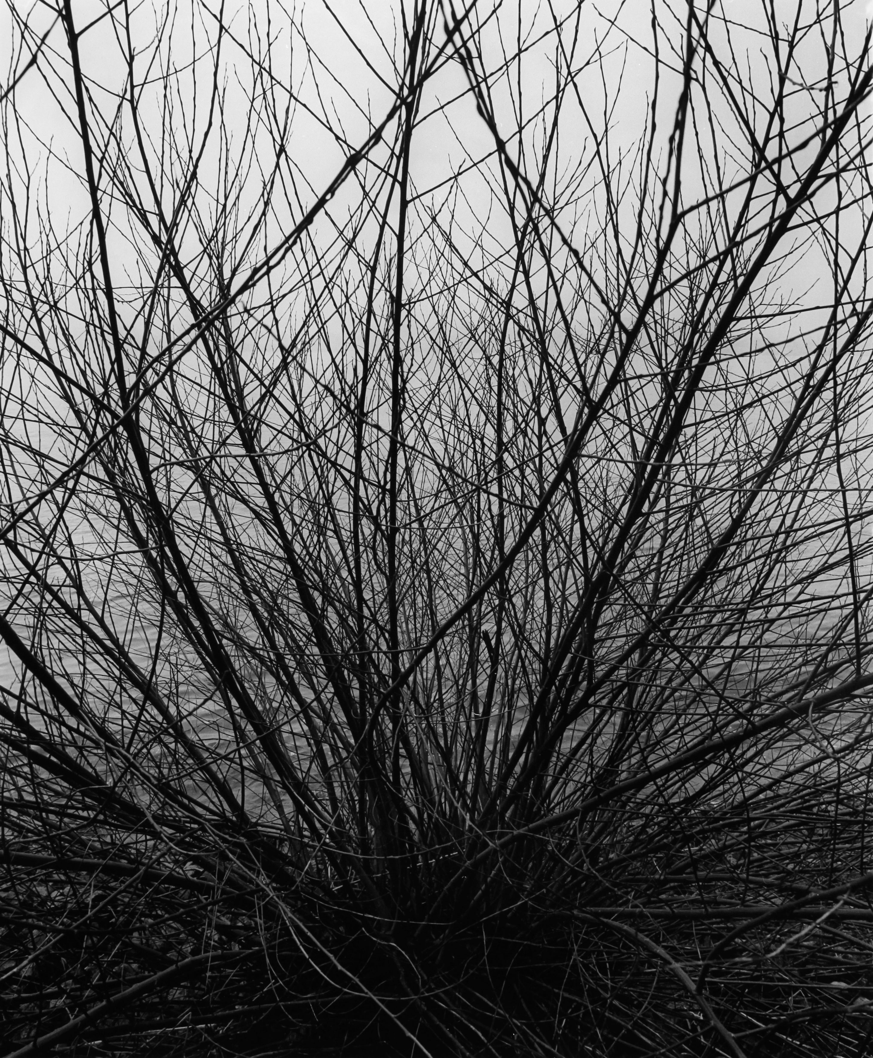 Övelgönner Uferweg
