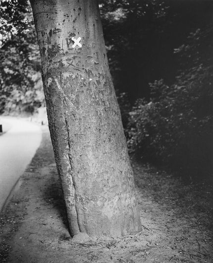 Schröders Elbpark
