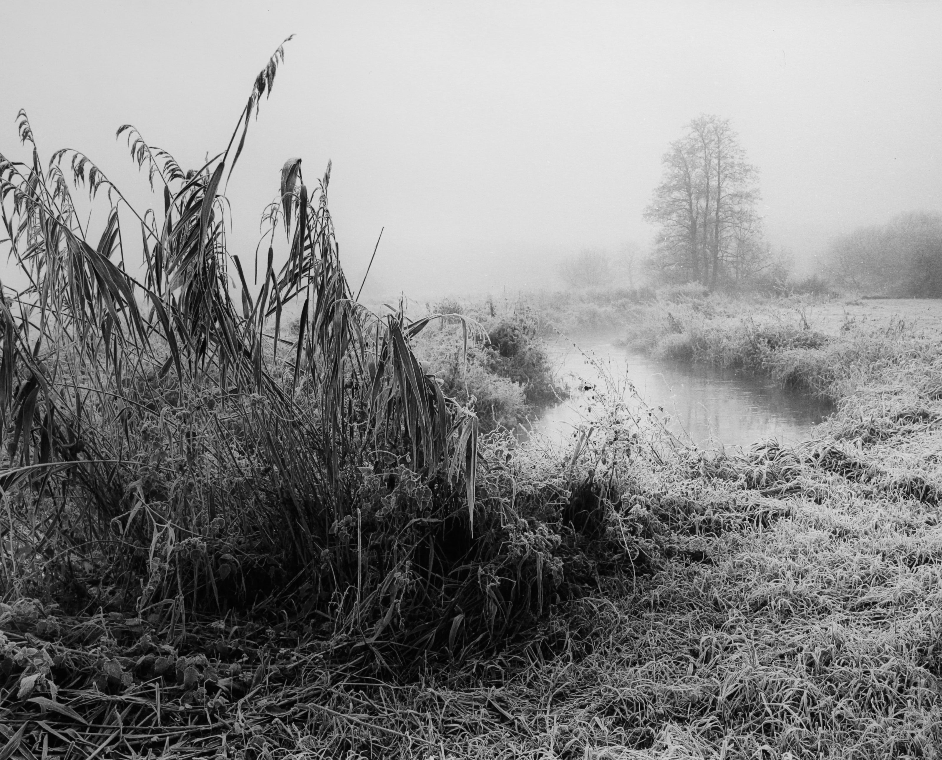 Altes Land
