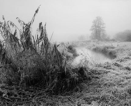 Altes Land