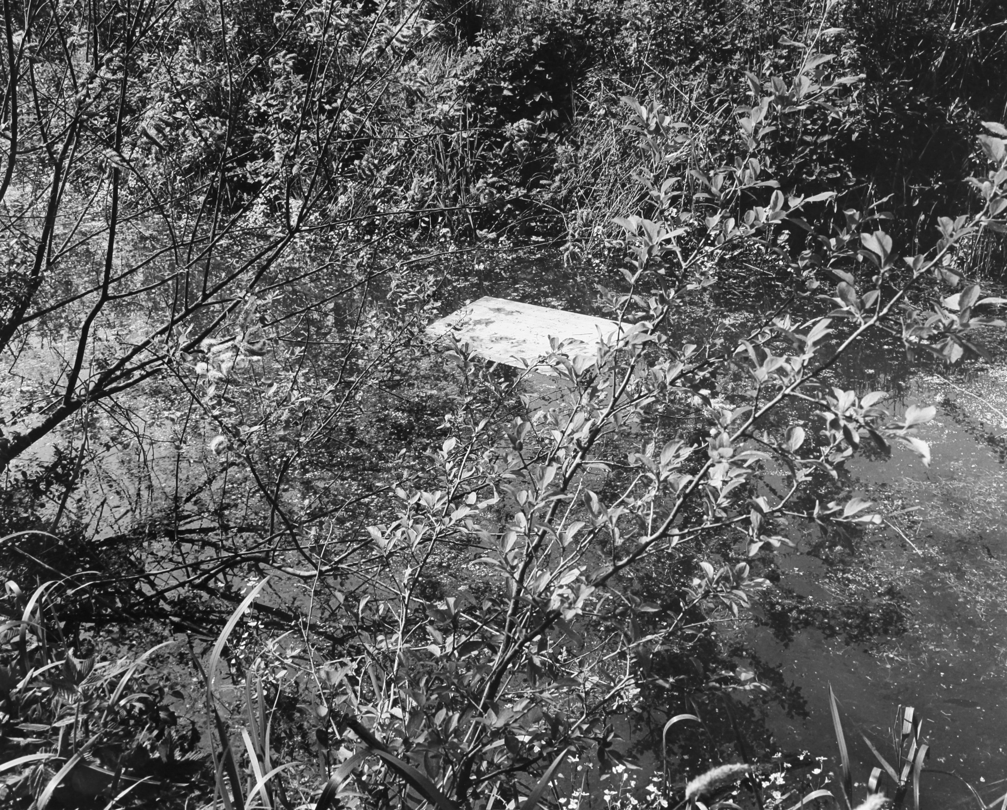 Altes Land