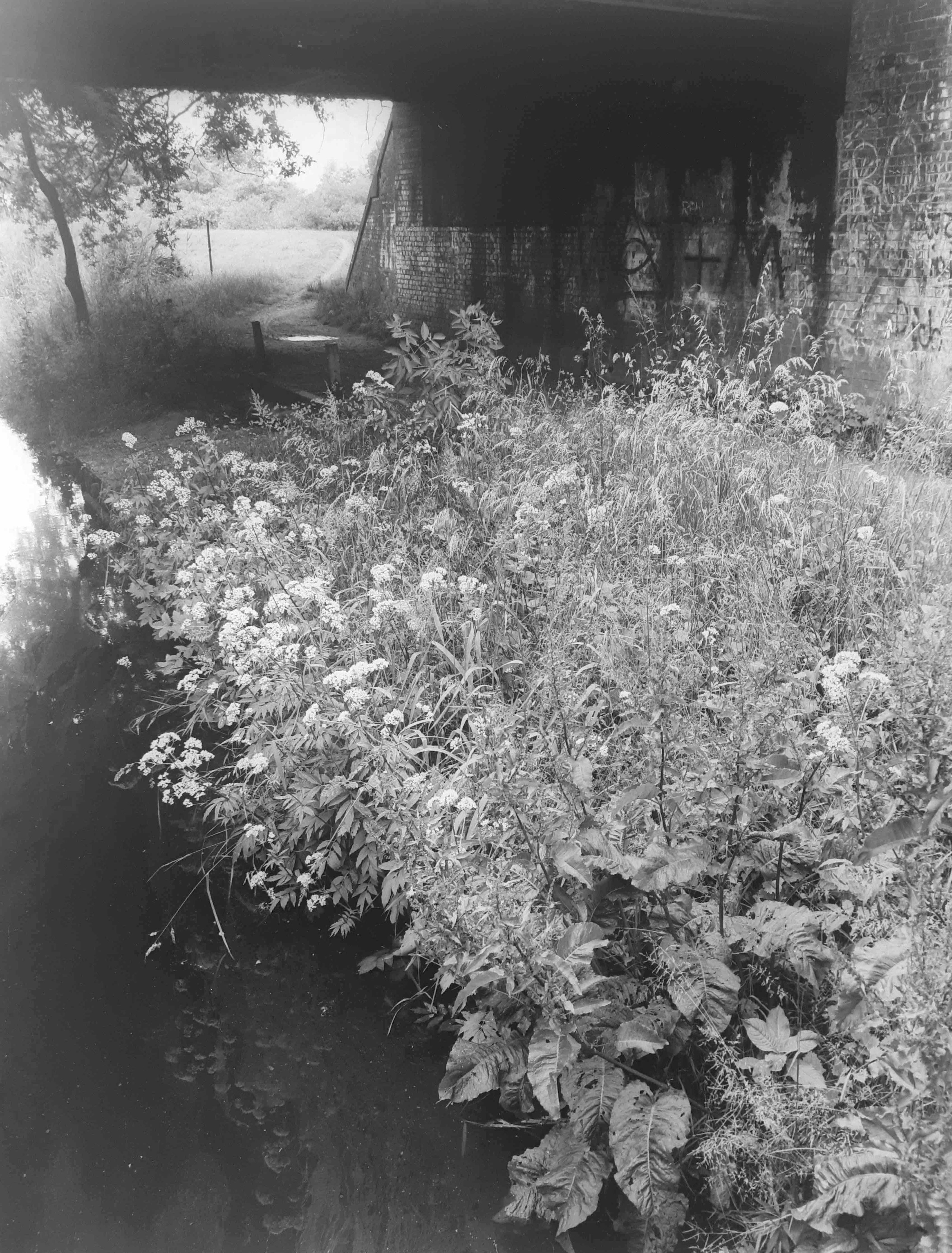 Altes Land