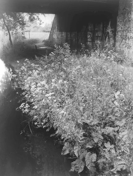 Altes Land