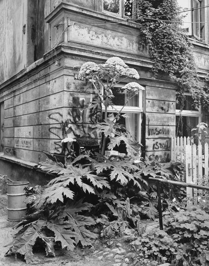 Rothestraße