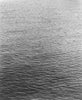 Tide