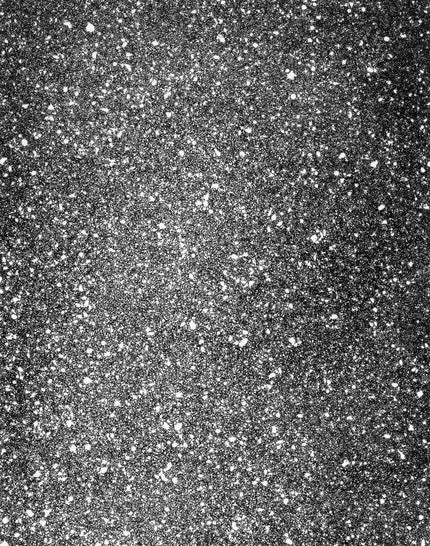 Black and white mosaic 2