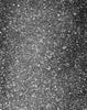 Black and white mosaic 2