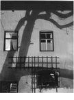 Tree shadow on house wall 3
