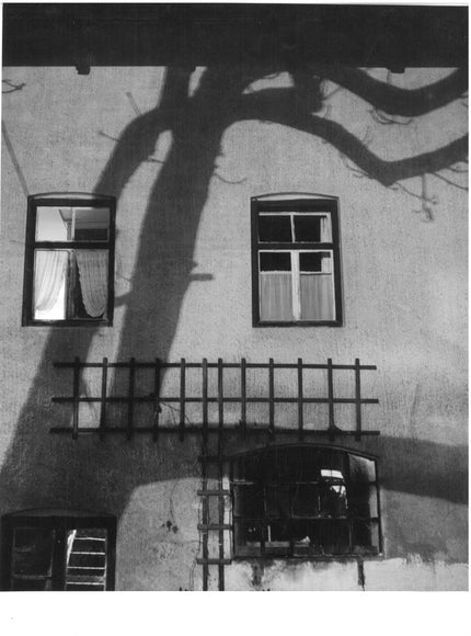Tree shadow on house wall 3