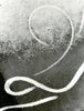 Traces in the ice