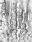 Reeds, reflected in water waves