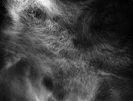 Drifting snow in headlights